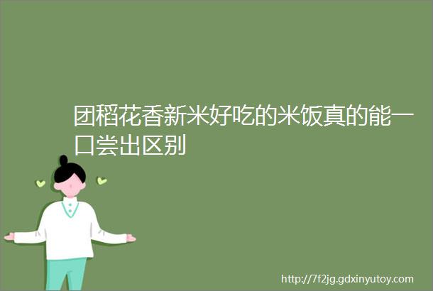 团稻花香新米好吃的米饭真的能一口尝出区别